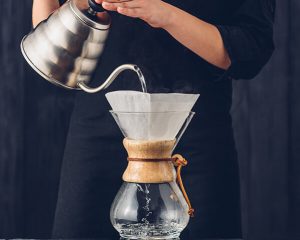 recomendaciones exportacion cafe premium oma